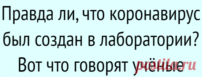 Правда ли, что коронавирус был создан в лаборатории? Вот что говорят учёные
Журнал Nature собрал аргументы за искусственное происхождение COVID-19 и против этой теории. Самая распространённая теория, которой придерживается большинство исследователей, гласит: SARS‑CoV‑2, вероятно, имеет естественное происхождение и передался людям от летучих мышей или других животных. Но версия о лабораторной...
Читай дальше на сайте. Жми подробнее ➡