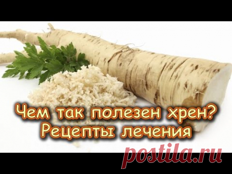 ЧЕМ ТАК ПОЛЕЗЕН ХРЕН? Рецепты лечения
