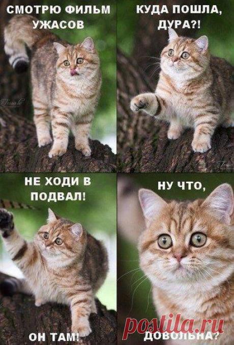 Новости