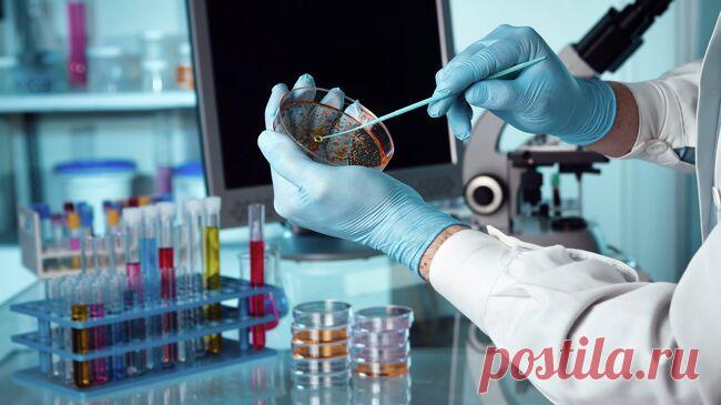 Ученые обнаружили вещество, способное бороться с раком молочной железы