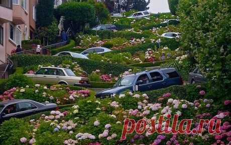 Одноклассники