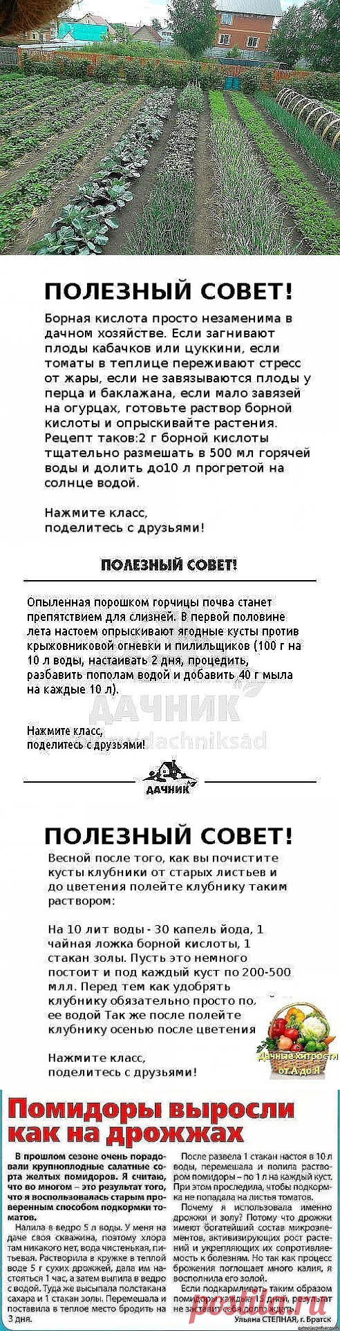 (57) Одноклассники