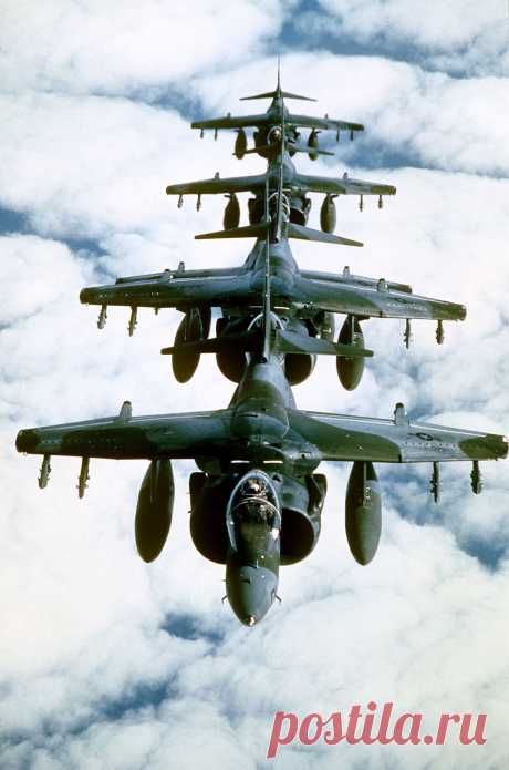 AV-8B Harrier's |авиация