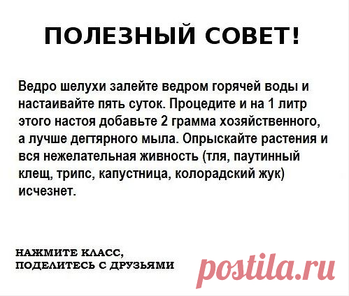 для борьбы с вредителями(тля.колорадский жук,трипсы и т. д.)