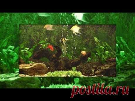 ♒ Virtual Aquarium with Bubbles