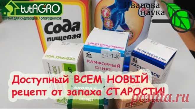 ИЗБАВЛЯЕМСЯ ОТ ЗАПАХА СТАРОСТИ, ГРИБКА, ОМОЛАЖИВАЕМ КОЖУ. ТОЛЬКО РАСТИТЕЛЬНЫЕ КОМПОНЕНТЫ И МИНЕРАЛЫ.
