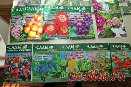 Хвалили семена "САДЫ РОССИИ" Челябинская область: 11 тыс изображений найдено в Яндекс.Картинках