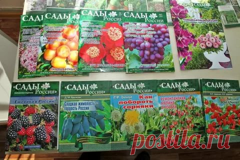 Хвалили семена 