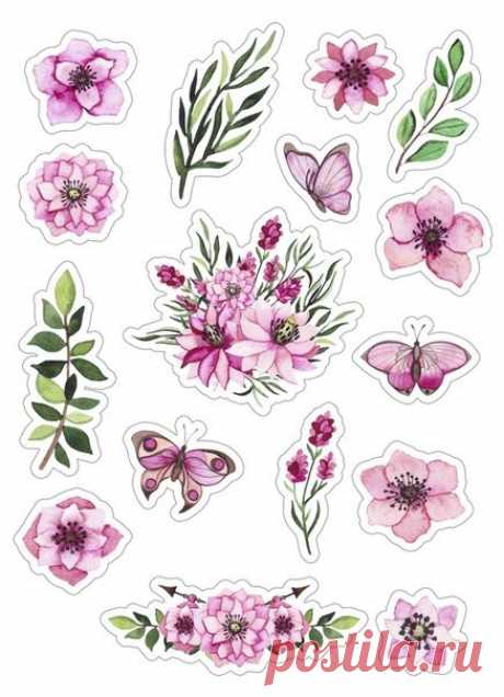 (237) Pinterest