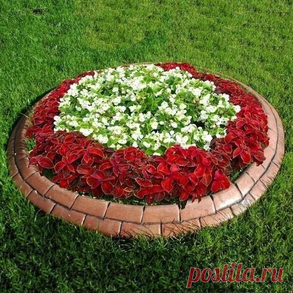 Как сделать бордюры для клумб?