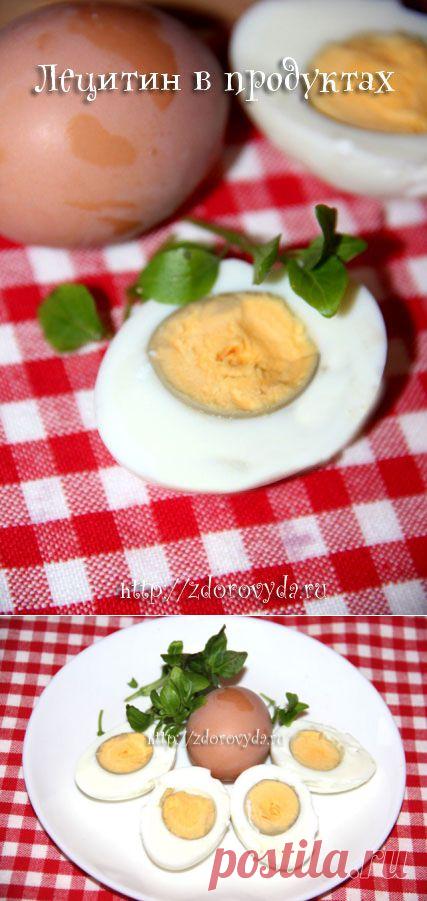 Лецитин в продуктах. Какие продукты содержат лецитин