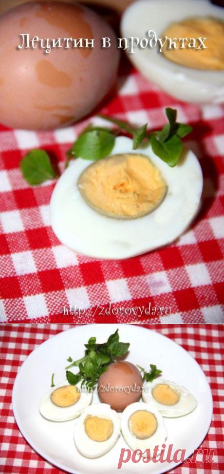 Лецитин в продуктах. Какие продукты содержат лецитин