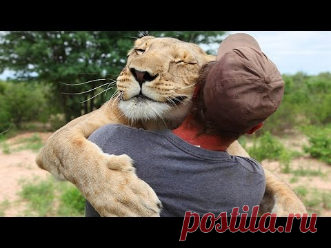 Ах Эта Дикая Природа! В Кругу Друзей — социальная сеть