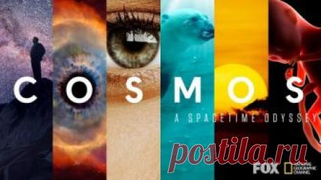 10 фильмов и сериалов для тех, кто хочет разобраться в науке - Лайфхакер