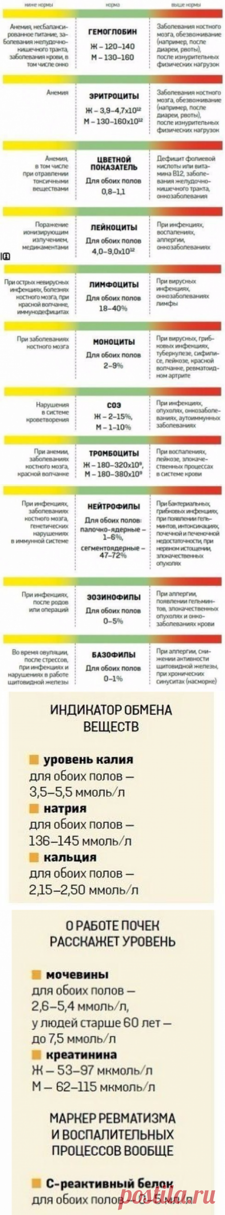 Хотите расшифровать анализ крови?