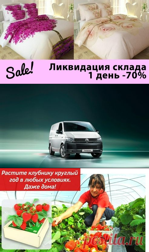 Эльфы.