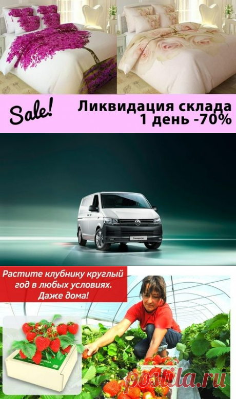Эльфы.