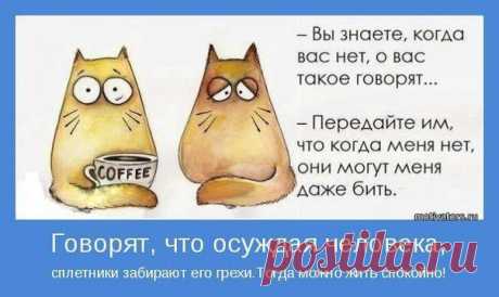 Женские посиделки - , рецепты, красота...))) | ВКонтакте