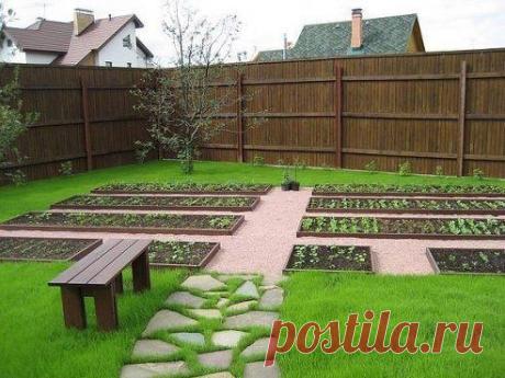 Пушистый газон + аккуратные грядки = идеальная дача!
Еще больше дачных советов в нашей группе - Дачные хитрости - https://ok.ru/garden.ideas