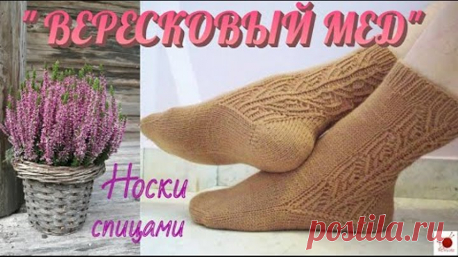 Носки спицами 
