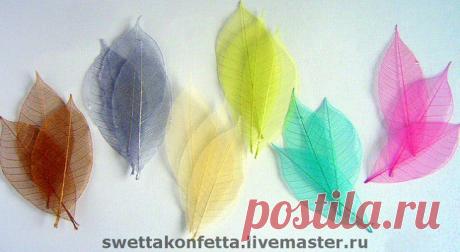 Как сделать скелетированные листья своими руками Где черпают вдохновение рукодельницы? Конечно, в окружающем мире! И больше всего на наше творчество, пожалуй, влияет природа. Осень, когда изменения вокруг становятся всё более явными, на первый план выходят конечно, яркие листья деревьев и кустарников. Скелетированные листья - один из интереснейших приёмов, который так и просится к повторению. Они хорошо вписываются в различные рукодельные проекты, и как применить их зависи...