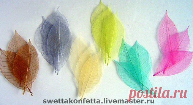 Как сделать скелетированные листья своими руками Где черпают вдохновение рукодельницы? Конечно, в окружающем мире! И больше всего на наше творчество, пожалуй, влияет природа. Осень, когда изменения вокруг становятся всё более явными, на первый план выходят конечно, яркие листья деревьев и кустарников. Скелетированные листья - один из интереснейших приёмов, который так и просится к повторению. Они хорошо вписываются в различные рукодельные проекты, и как применить их зависи...