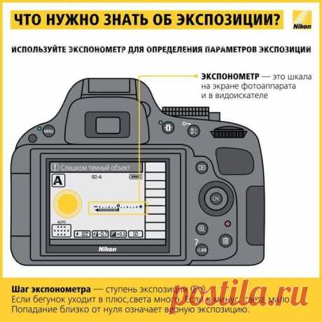 Советы начинающему фотографу