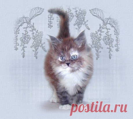 Шепотки на разную требу..