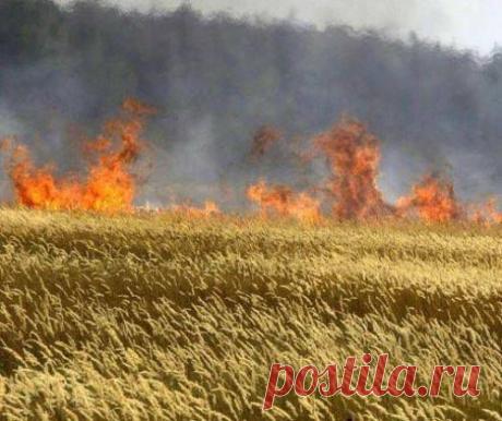 Анна Берёзина - Анна Берёзина's Photos