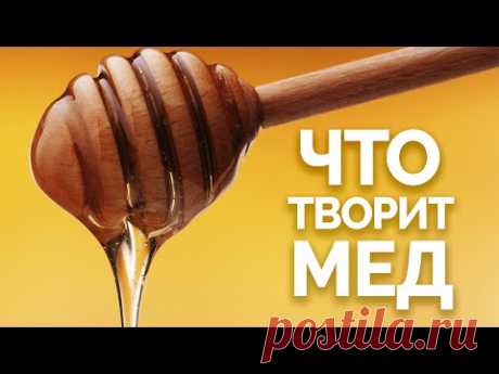 Вот Что Будет, если Есть Мед Каждый День - YouTube