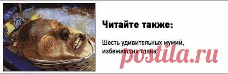 Загадка пропавшей экспедиции / Путешествия / Моя Планета
