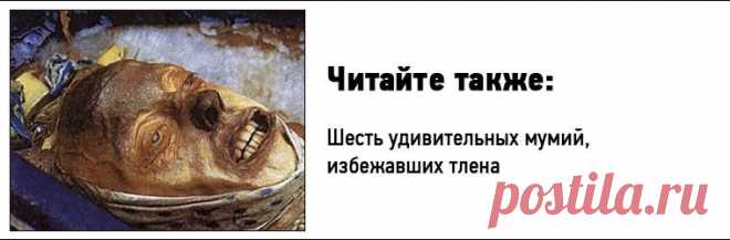 Загадка пропавшей экспедиции / Путешествия / Моя Планета