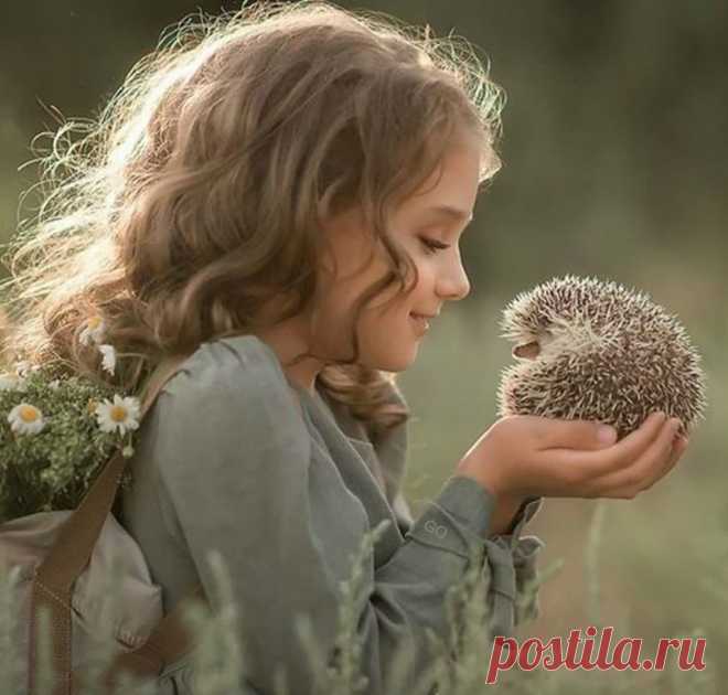 Как важно знать,
что ты кому -то нужен....
------------------------------