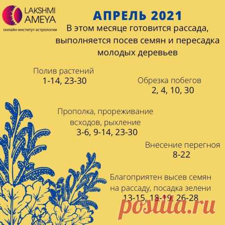 Когда делать весеннюю обрезку? Лунный календарь садовода на апрель 2021
Готов лунный календарь садовода и огородника на апрель 2021 от астрологов Института...
Читай пост далее на сайте. Жми ⏫ссылку выше