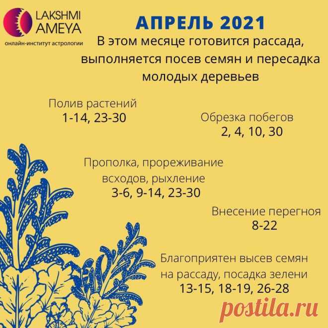 Когда делать весеннюю обрезку? Лунный календарь садовода на апрель 2021
Готов лунный календарь садовода и огородника на апрель 2021 от астрологов Института...
Читай пост далее на сайте. Жми ⏫ссылку выше