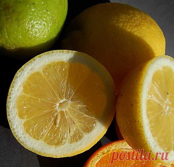 Никогда бы не подумал, что цветы «любят» водку! 10 гениальных идей для огорода и не только.