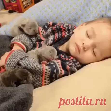 Одноклассники