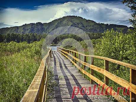 Stock Photos, Royalty-Free Images & Video Footage By Dreamstime Stock Photography
