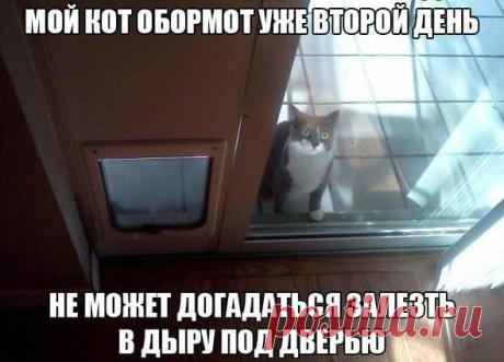 Мой Мир@Mail.Ru