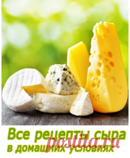 Купить сычужно-говяжий фермент ВНИИМС СГ-50 в упаковке Сам себе сыродел