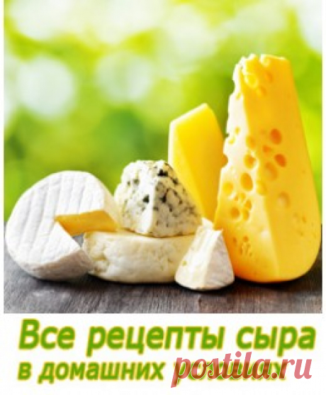 Купить сычужно-говяжий фермент ВНИИМС СГ-50 в упаковке Сам себе сыродел
