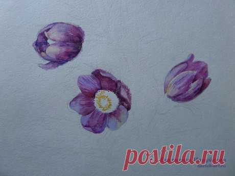 Нарисуем подснежники ? Поэтапный урок рисования — Sketch-Art