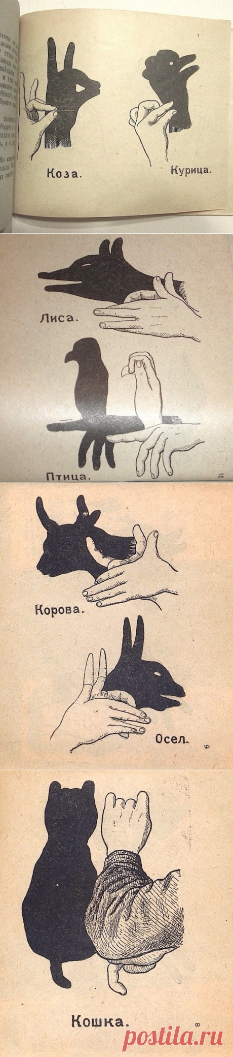 ТЕНИ /игра/