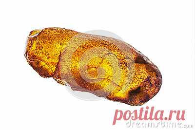 Stock Photos, Royalty-Free Images & Video Footage By Dreamstime Stock Photography
