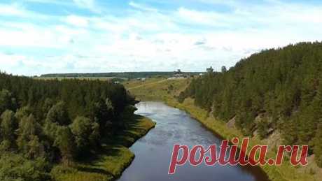 Релакс Звуки природы Пение птиц Живой лес Медитация / Relaxing Nature Sounds Meditation
