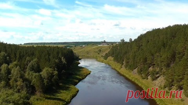 Релакс Звуки природы Пение птиц Живой лес Медитация / Relaxing Nature Sounds Meditation
