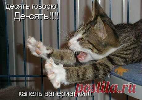 ♥♥Житейская мудрость ♥♥