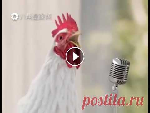 Прикольная песня. С добрым утром! Прикольная песня. С добрым утром!...
