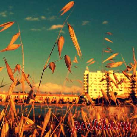 Фотопост: первый день лета | Selfhacker.ru