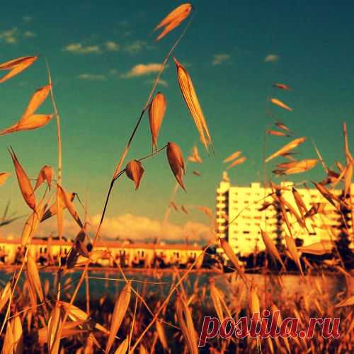 Фотопост: первый день лета | Selfhacker.ru